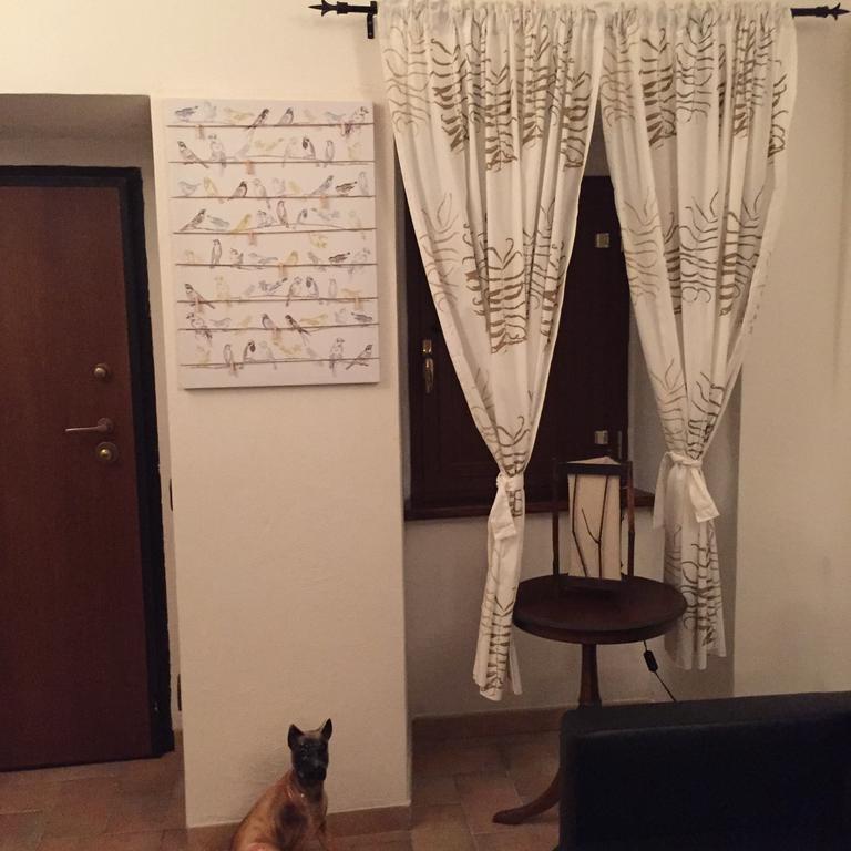 カステル・ディ・サングロ Montagna & Relaxヴィラ エクステリア 写真